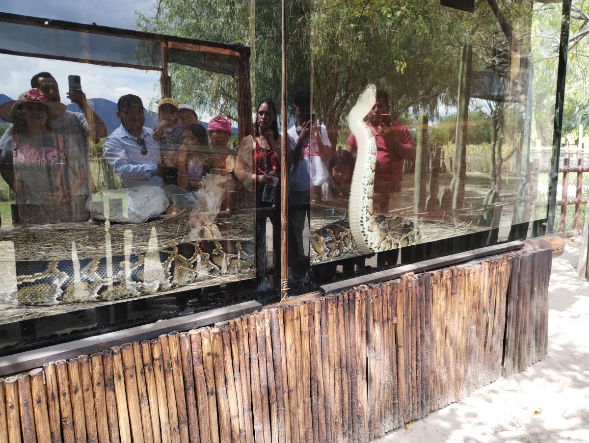 SANTUARIO DEL JAGUAR YAGUAR XOO SANTUARIO DEL JAGUAR YAGUAR XOO