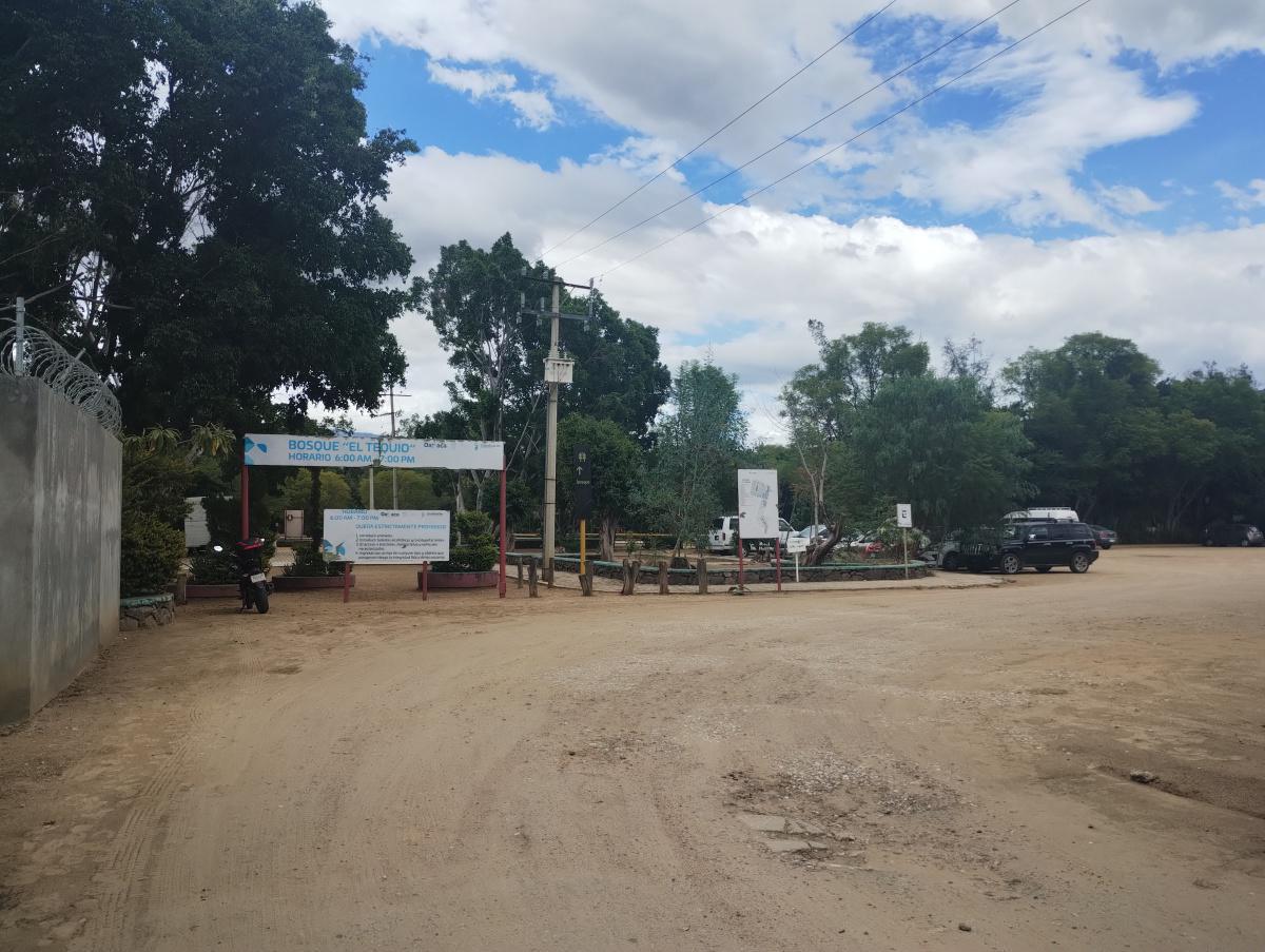 BOSQUE EL TEQUIO BOSQUE EL TEQUIO