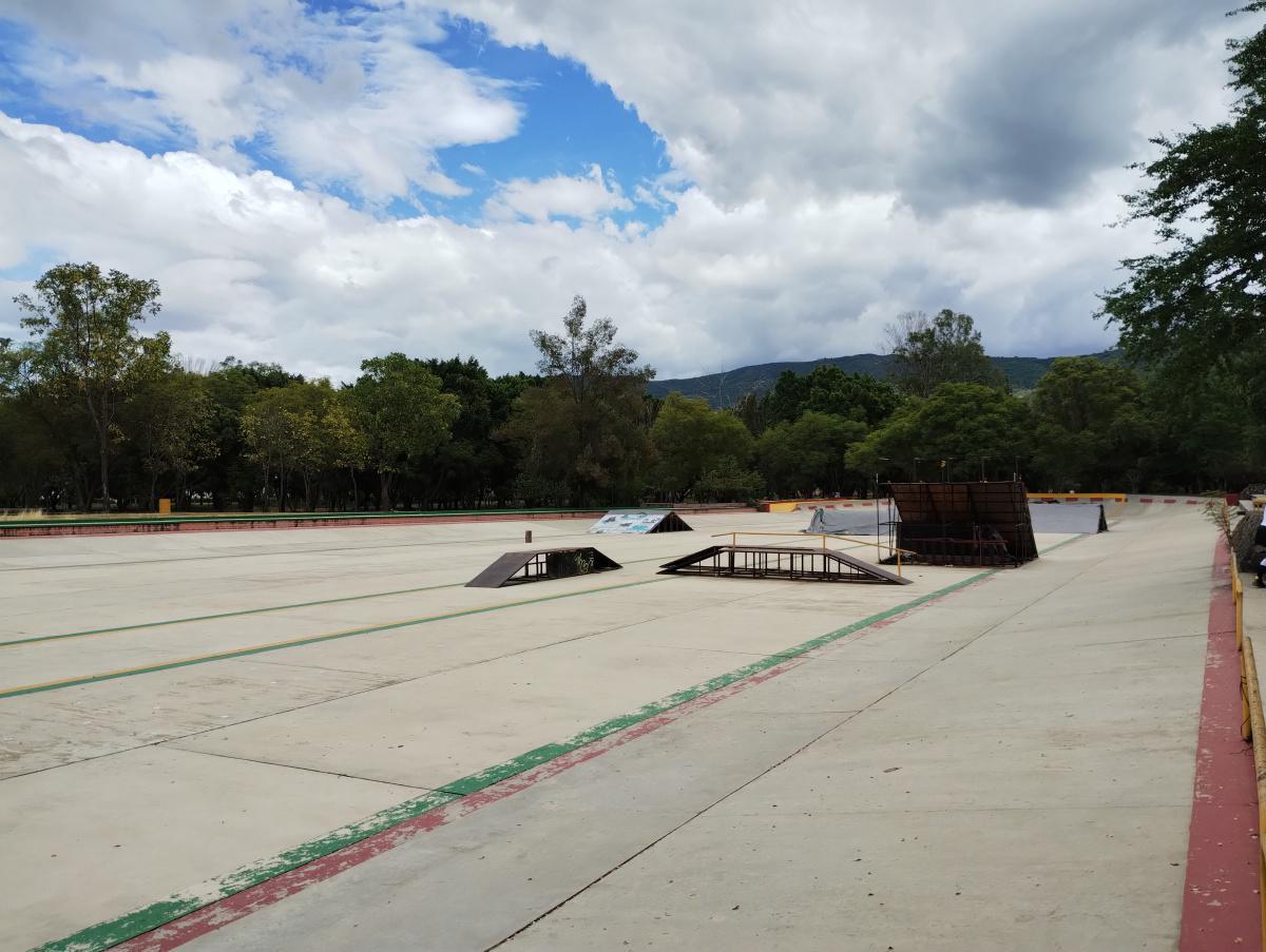 BOSQUE EL TEQUIO BOSQUE EL TEQUIO