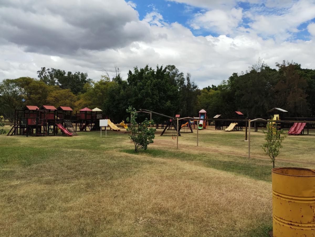 BOSQUE EL TEQUIO BOSQUE EL TEQUIO