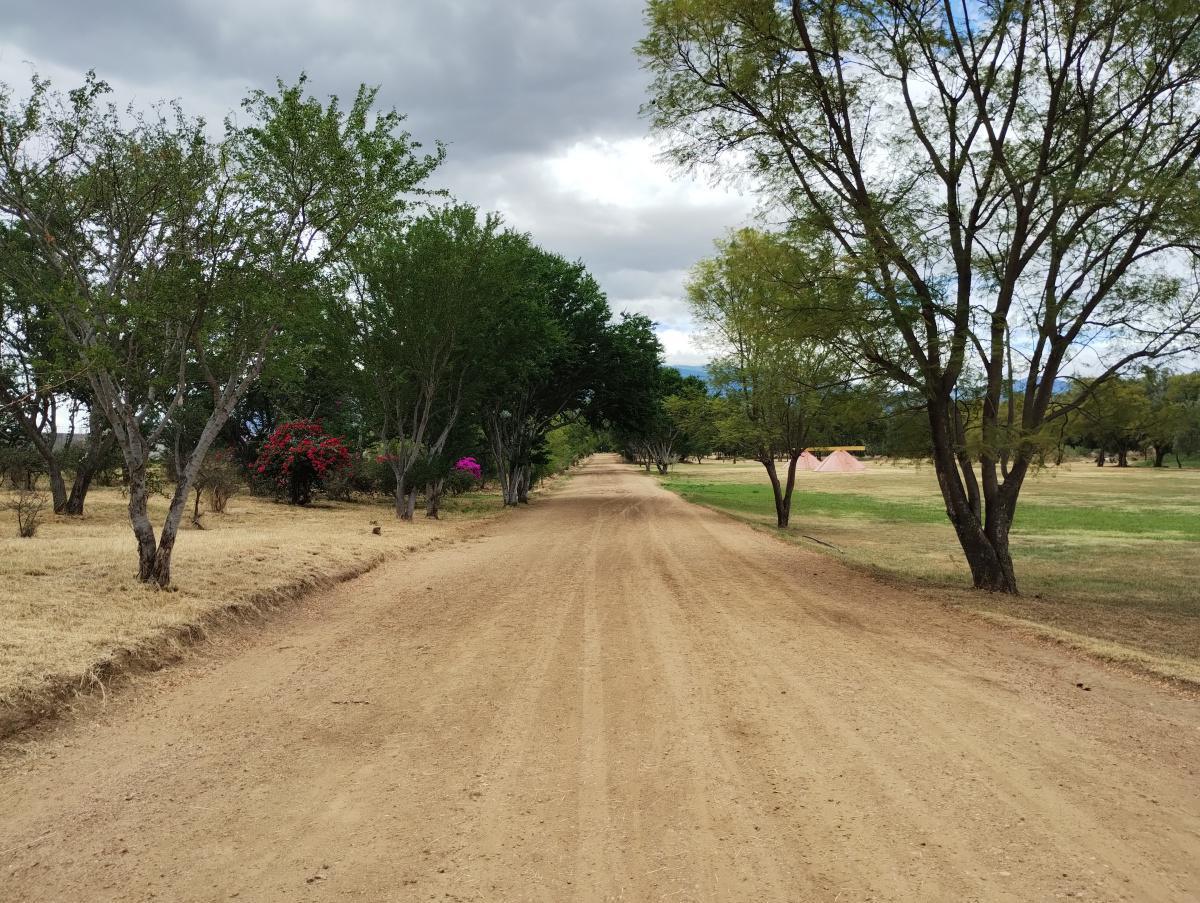 BOSQUE EL TEQUIO BOSQUE EL TEQUIO