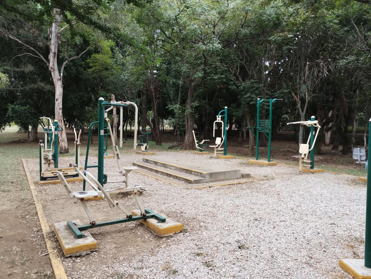 BOSQUE EL TEQUIO BOSQUE EL TEQUIO