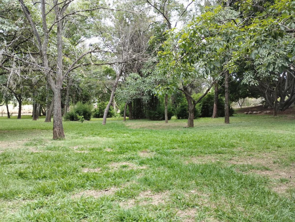 BOSQUE EL TEQUIO BOSQUE EL TEQUIO