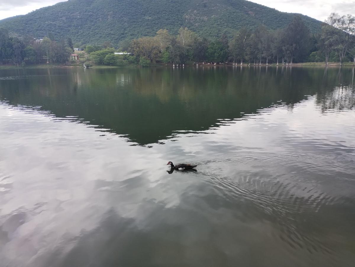 PRESA EL ESTUDIANTE PRESA EL ESTUDIANTE