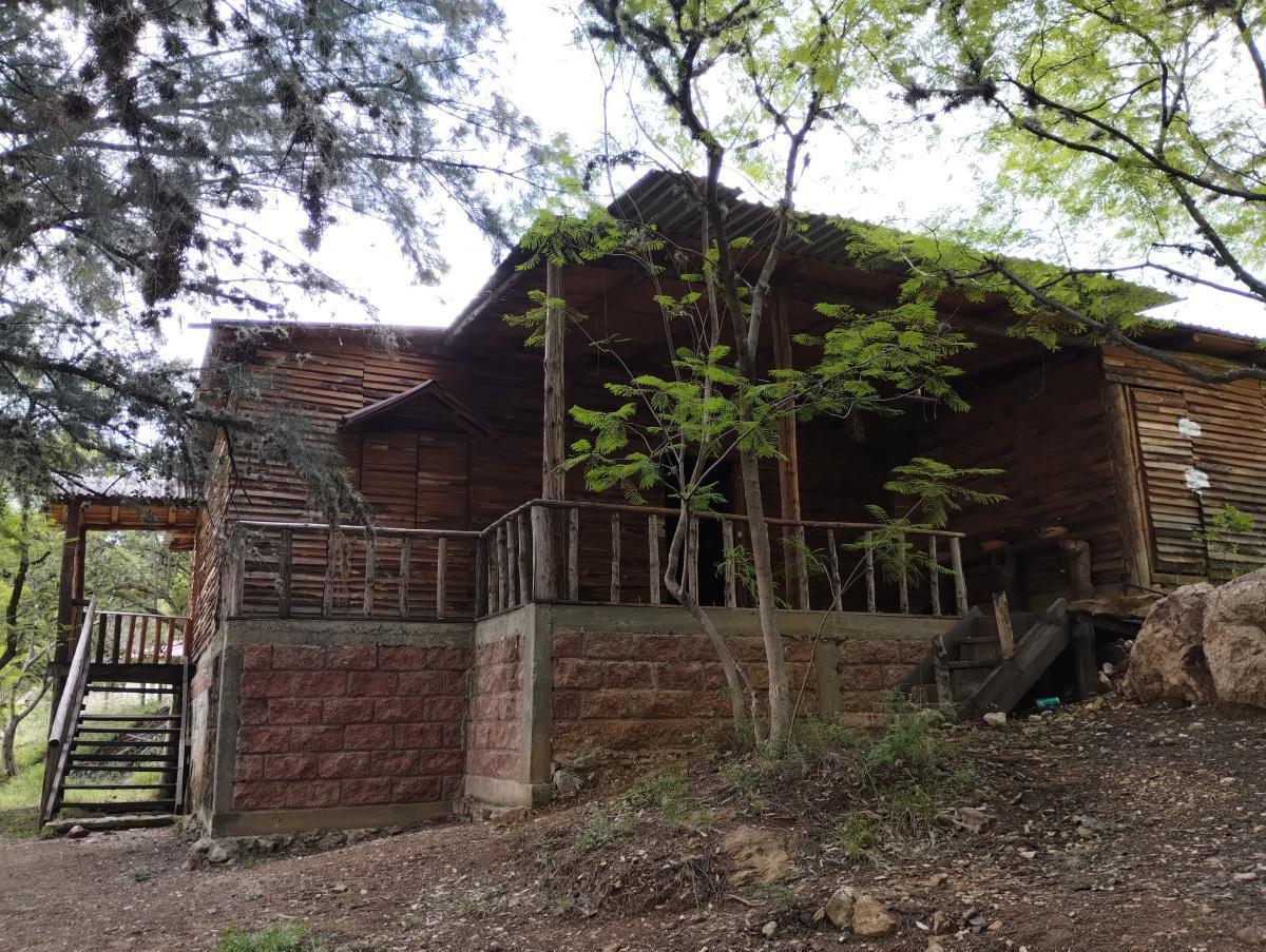 PRESA EL ESTUDIANTE PRESA EL ESTUDIANTE