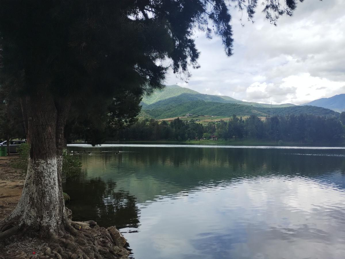 PRESA EL ESTUDIANTE PRESA EL ESTUDIANTE