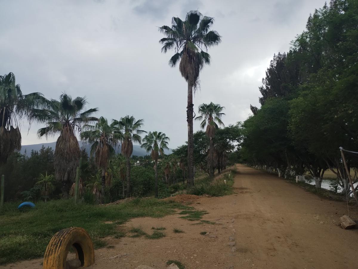 PRESA LA AZUCENA PRESA LA AZUCENA