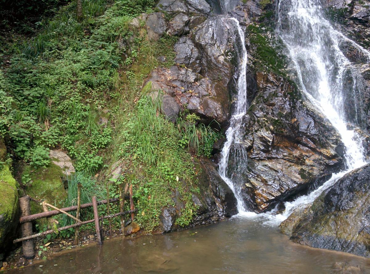 ARROYO LAS GUACAMAYAS ARROYO LAS GUACAMAYAS