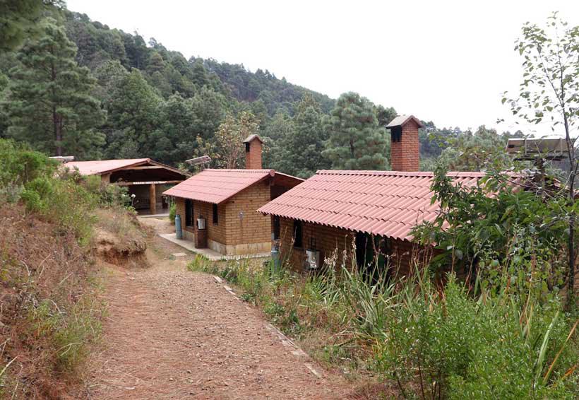 ARROYO LAS GUACAMAYAS