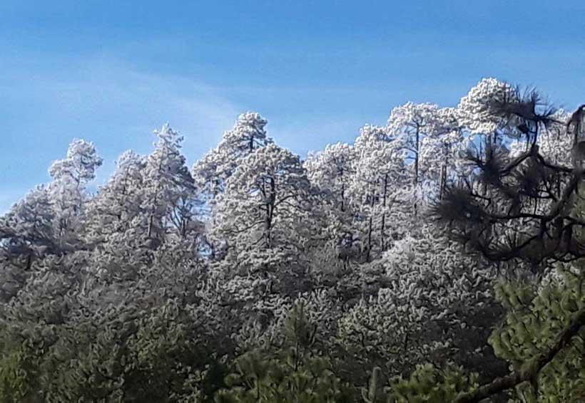 ARROYO LAS GUACAMAYAS ARROYO LAS GUACAMAYAS