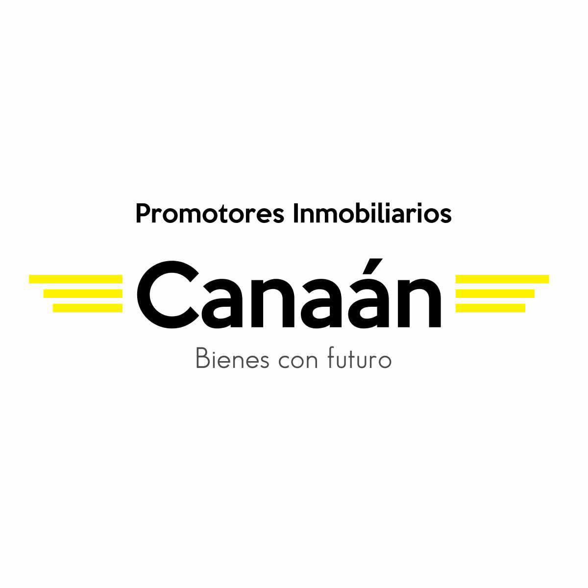 PROMOTORES INMOBILIARIOS CANAÁN