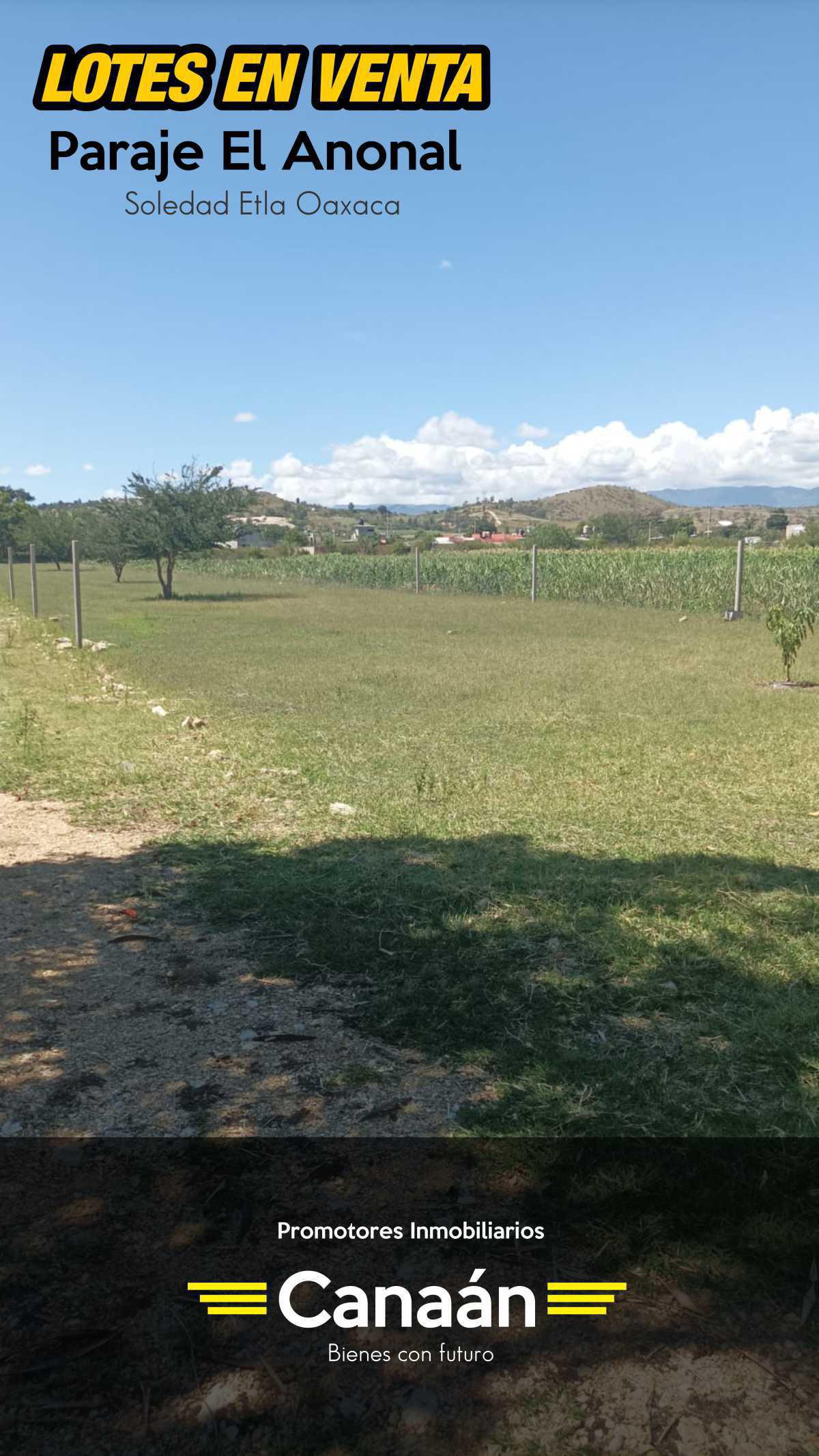 PROMOTORES INMOBILIARIOS CANAÁN PROMOTORES INMOBILIARIOS CANAÁN