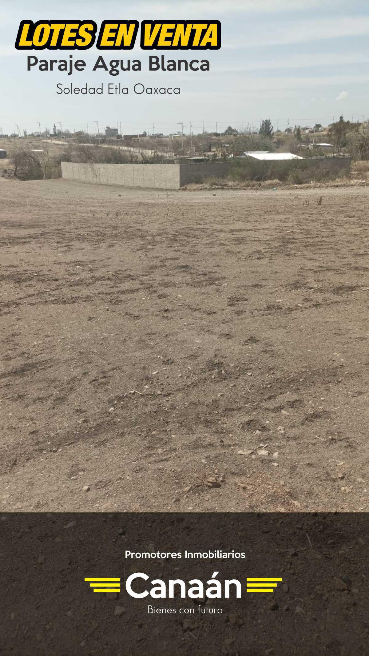 PROMOTORES INMOBILIARIOS CANAÁN PROMOTORES INMOBILIARIOS CANAÁN