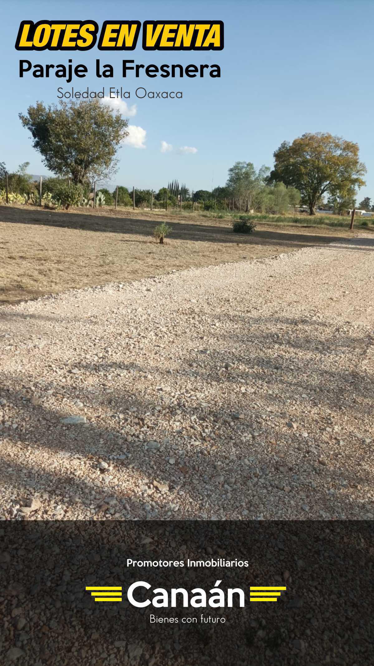 PROMOTORES INMOBILIARIOS CANAÁN PROMOTORES INMOBILIARIOS CANAÁN