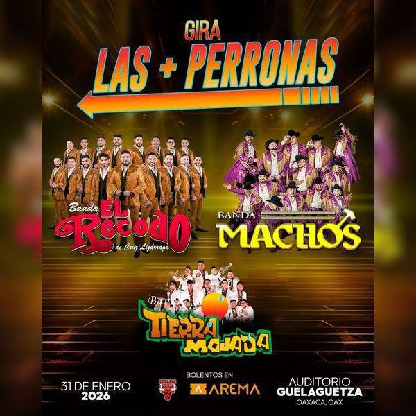 LAS MÁS PERRONAS, BANDA EL RECODO Y BANDA MACHOS