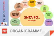Organigramme SNTA FO 01/06/2024