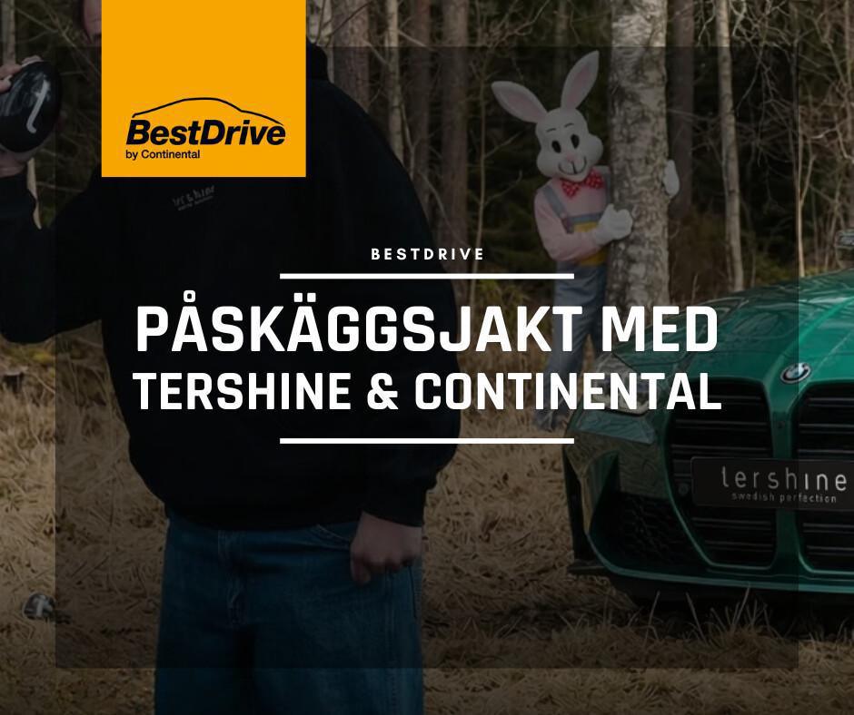 Vi är med i Tershines stora Påskäggsjakt! Vi är med i Tershines stora Påskäggsjakt!