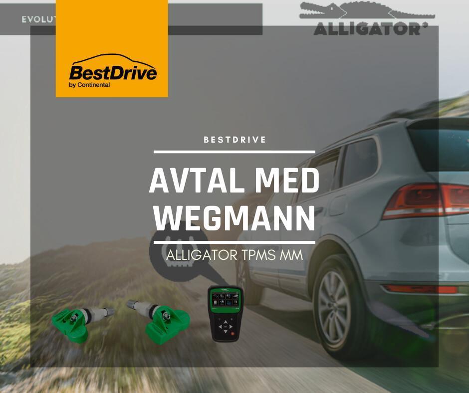 WEGMANN - ALLIGATOR TPMS mm WEGMANN - ALLIGATOR TPMS mm