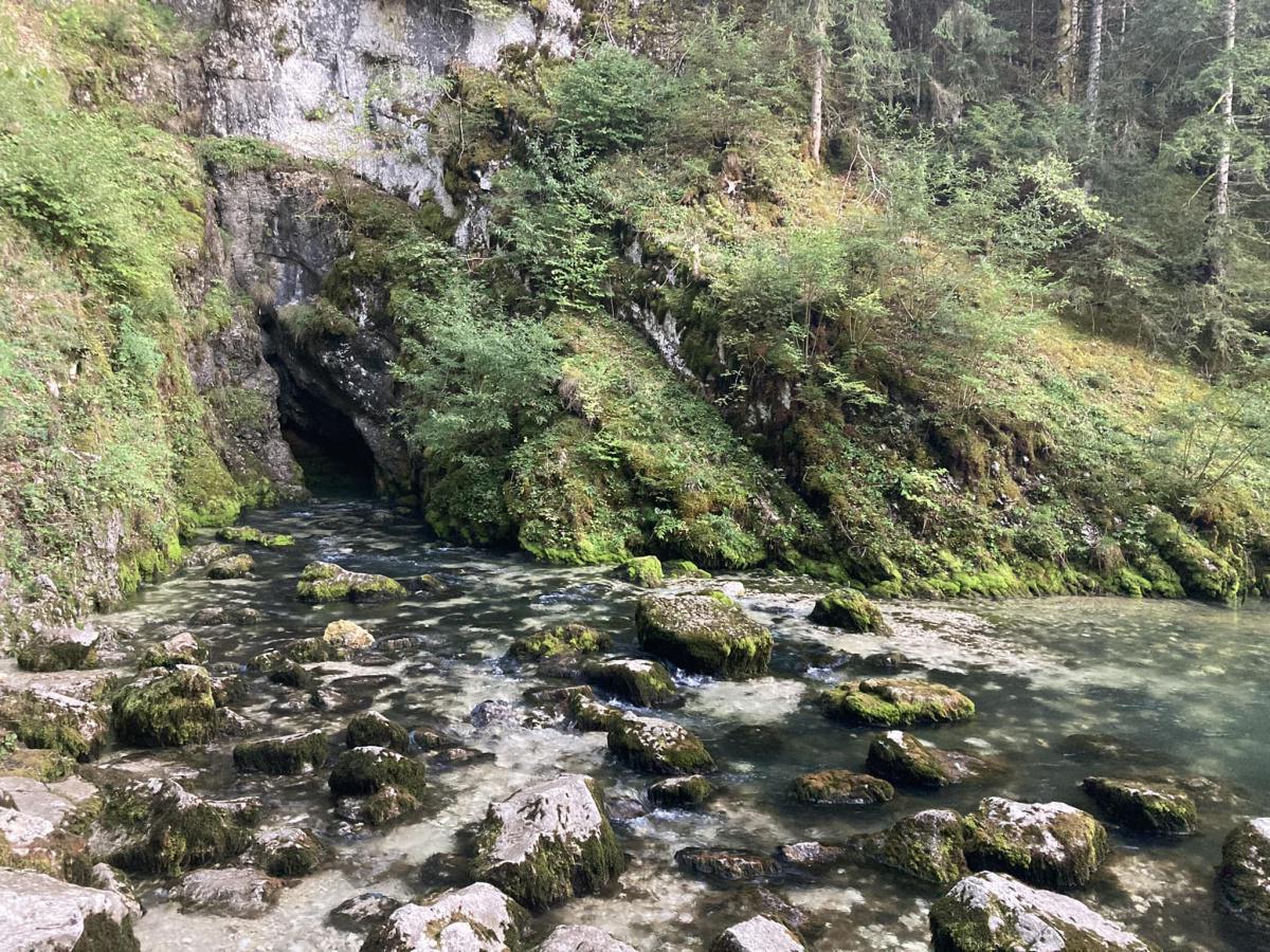 Source du Doubs
