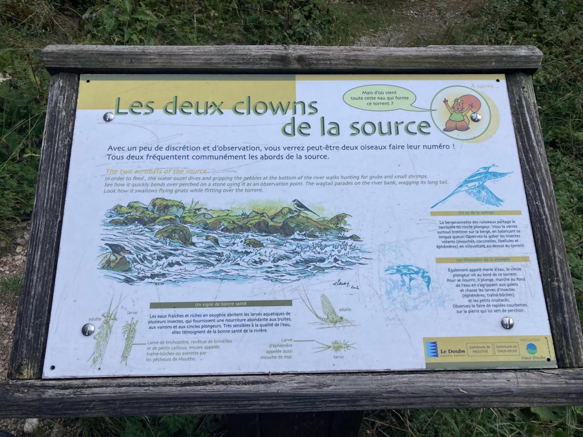 Source du Doubs