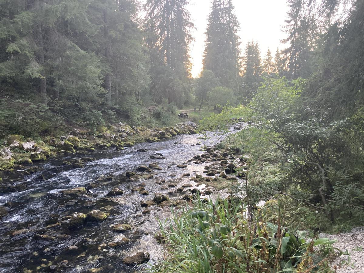 Source du Doubs