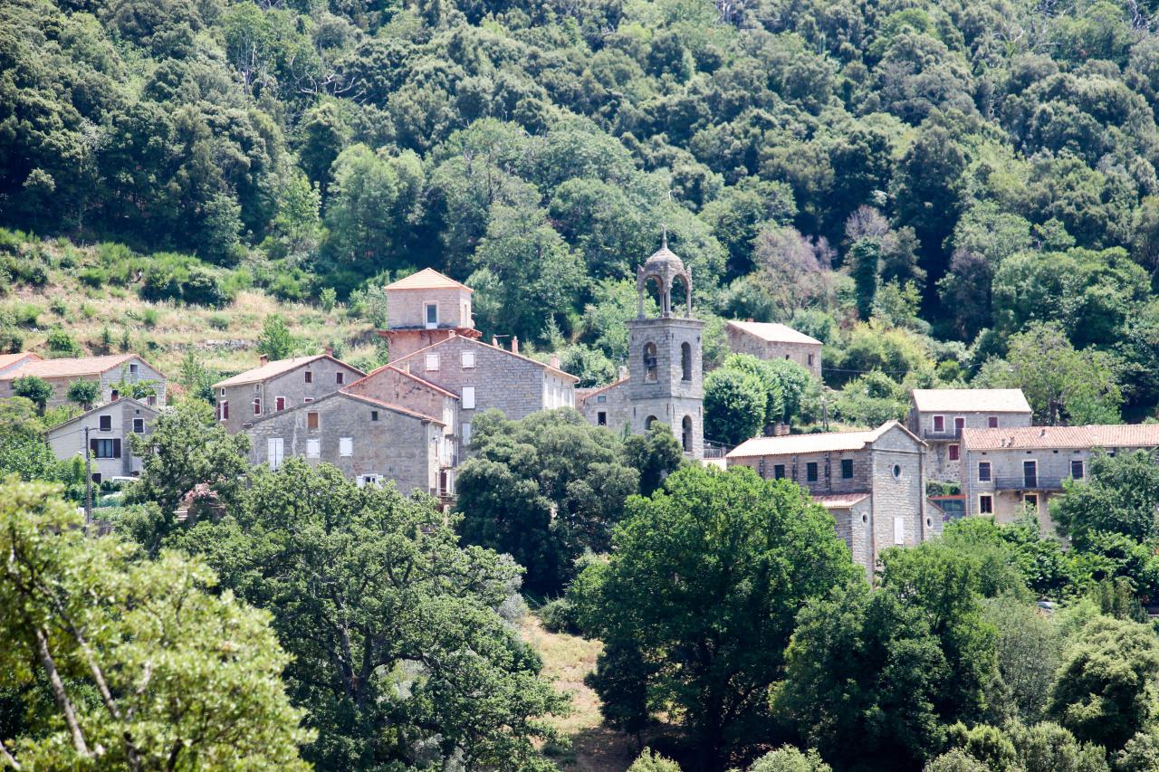 Charcuterie corse à Azilone-Ampaza