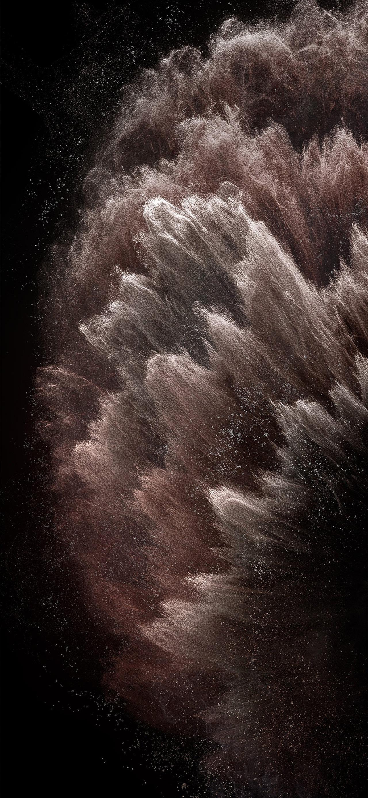 iPhone-11-Pro-stock-wallpaper-via-AR72014-rose