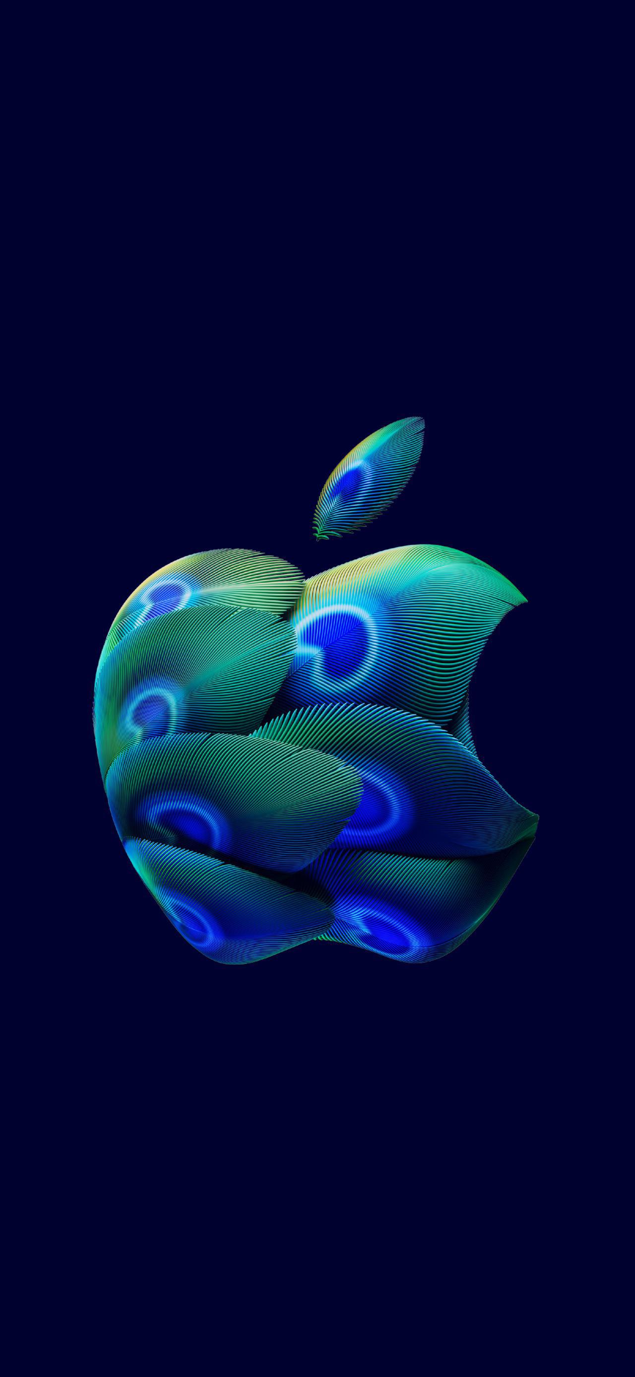 wallpaper_hebbal_phone