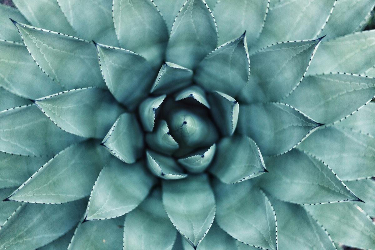 Clear the clutter, clear the path: How decluttering your space, mind, and emotions unlocks the law of attraction