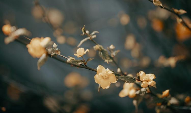 New Moon in Virgo, August 23rd, 2025