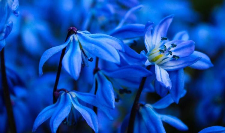 Full moon lunar eclipse in Pisces, September 7th, 2025