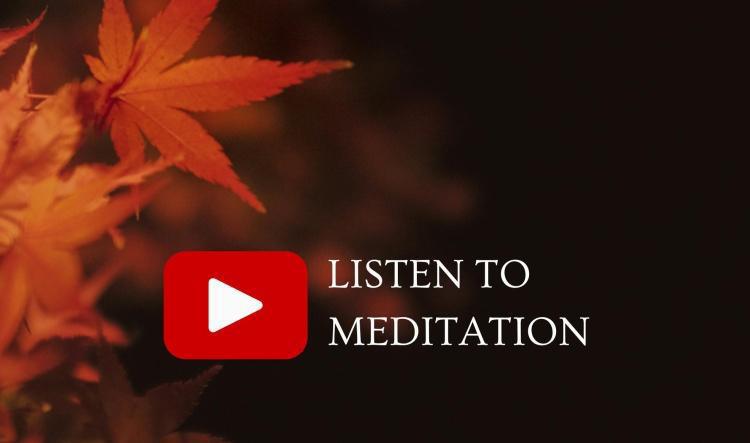 Allow your intentions to take root