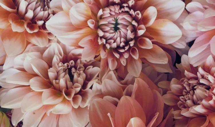 The astrological energies of July 2026