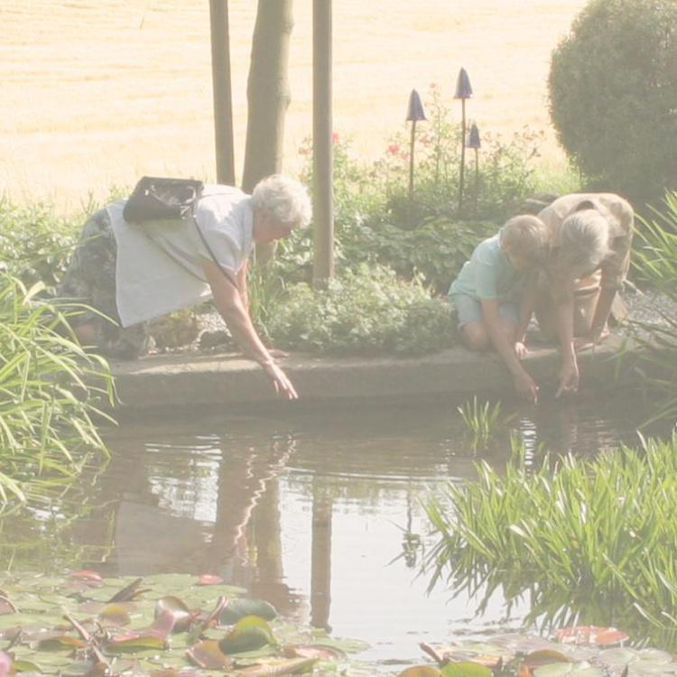Den skjulte blomsterhave