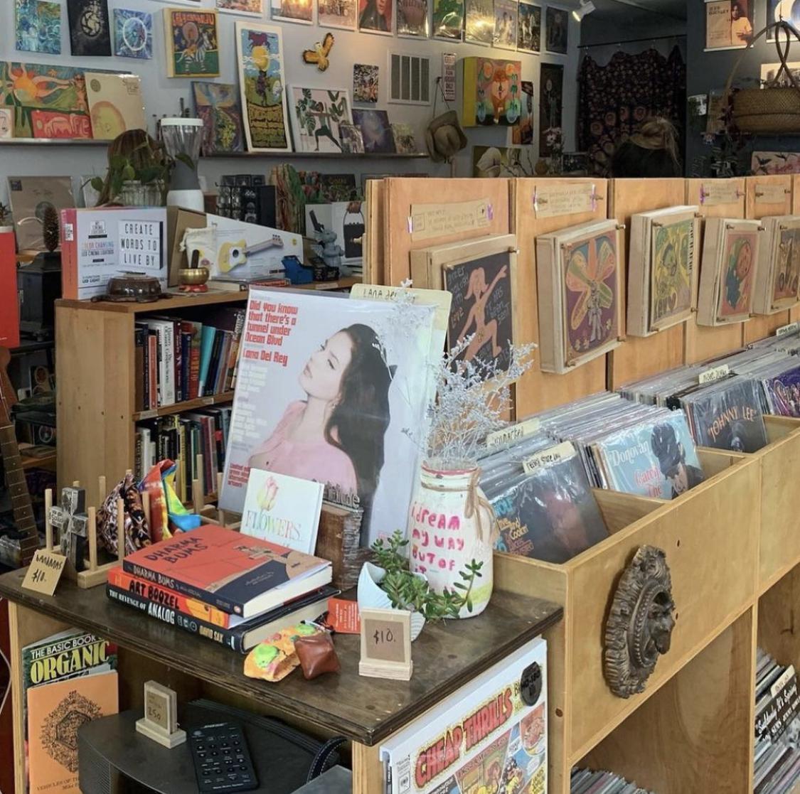 Dreaming Human Dreaming Human