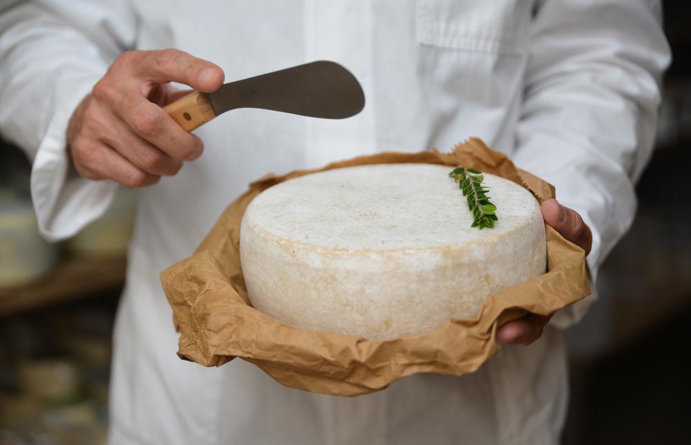 DEGUSTAZIONE FORMAGGI DEGUSTAZIONE FORMAGGI