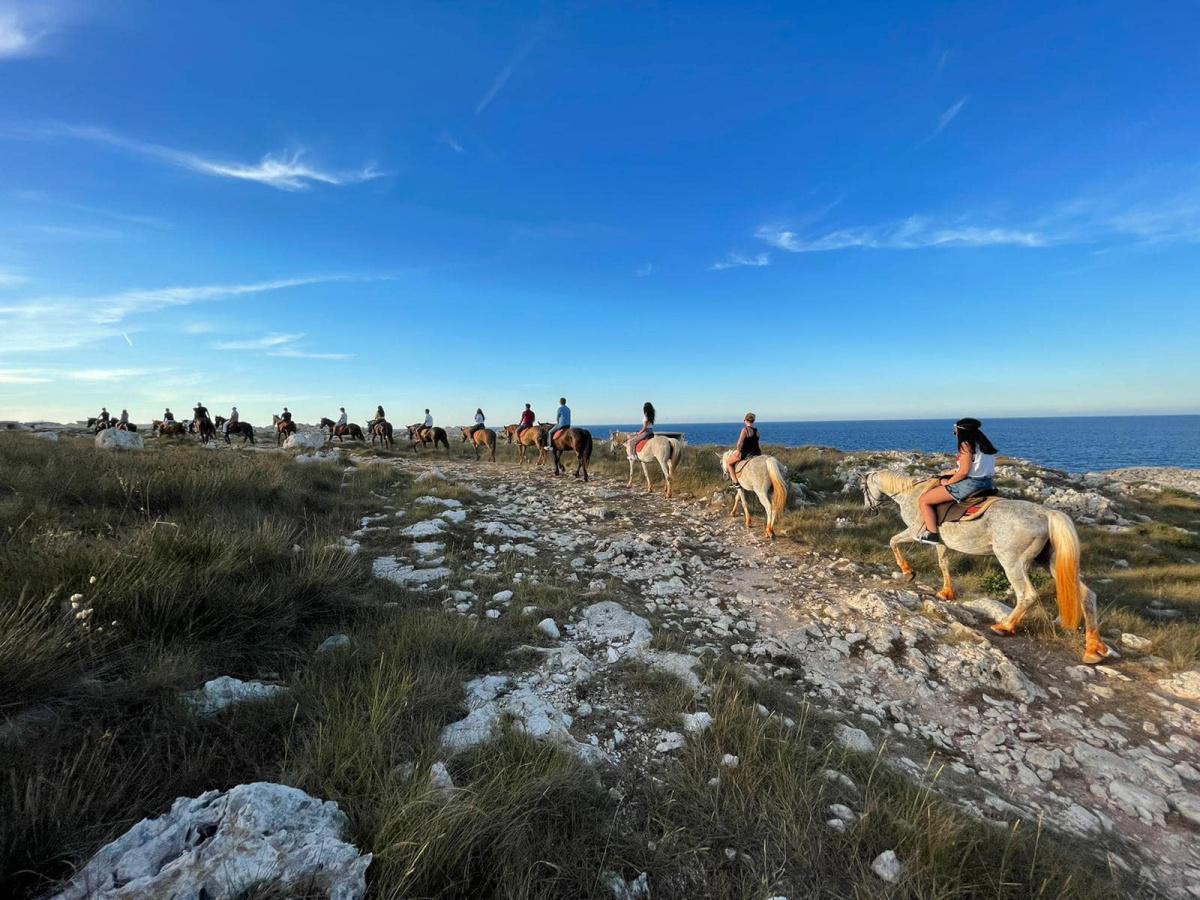 MANEGGIO TUMARA MANEGGIO TUMARA