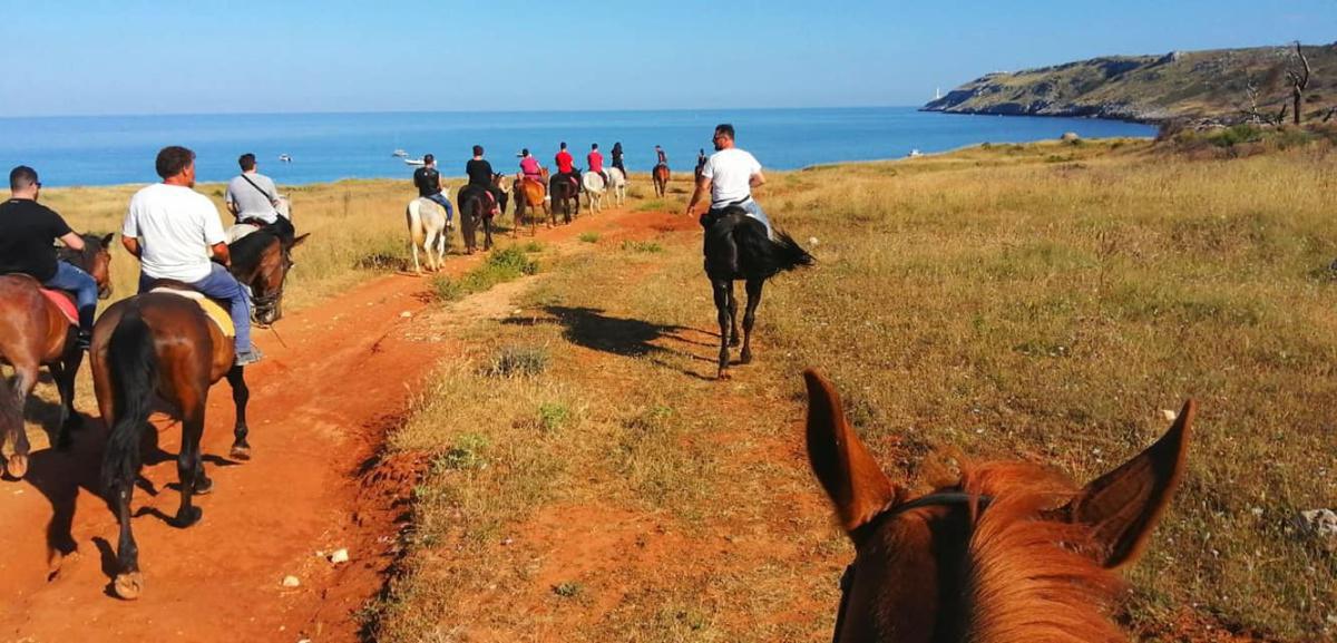 MANEGGIO TUMARA MANEGGIO TUMARA