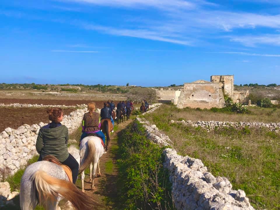 MANEGGIO TUMARA MANEGGIO TUMARA