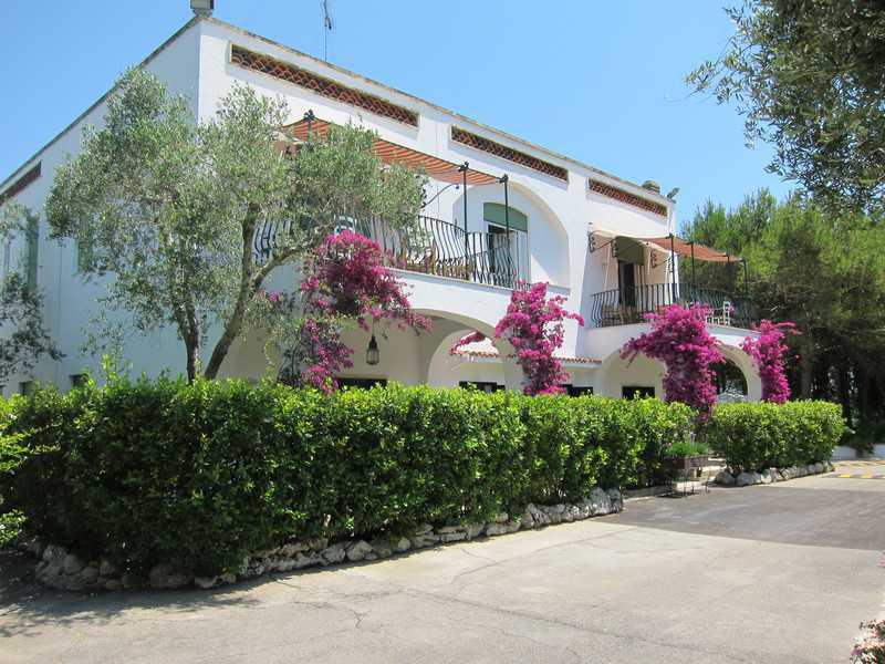 Tenuta Belvedere Tenuta Belvedere