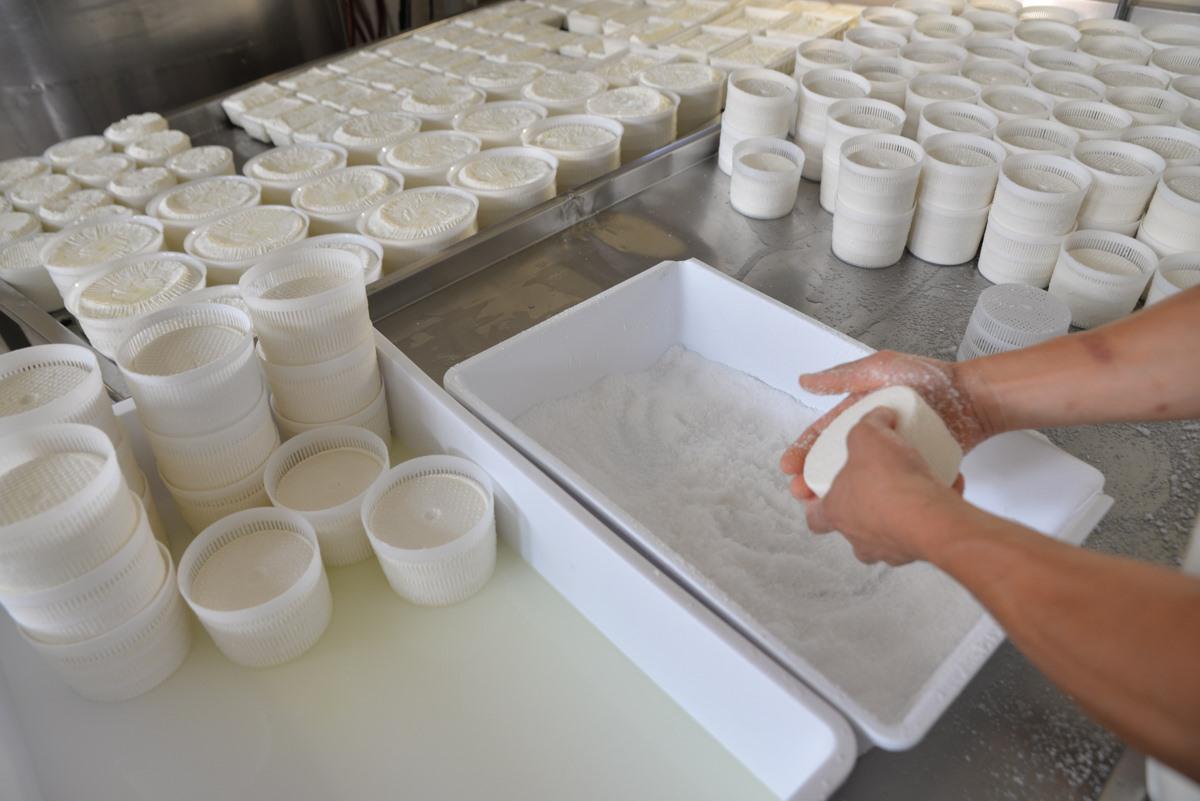 Alla scoperta della tradizione casearia salentina Alla scoperta della tradizione casearia salentina