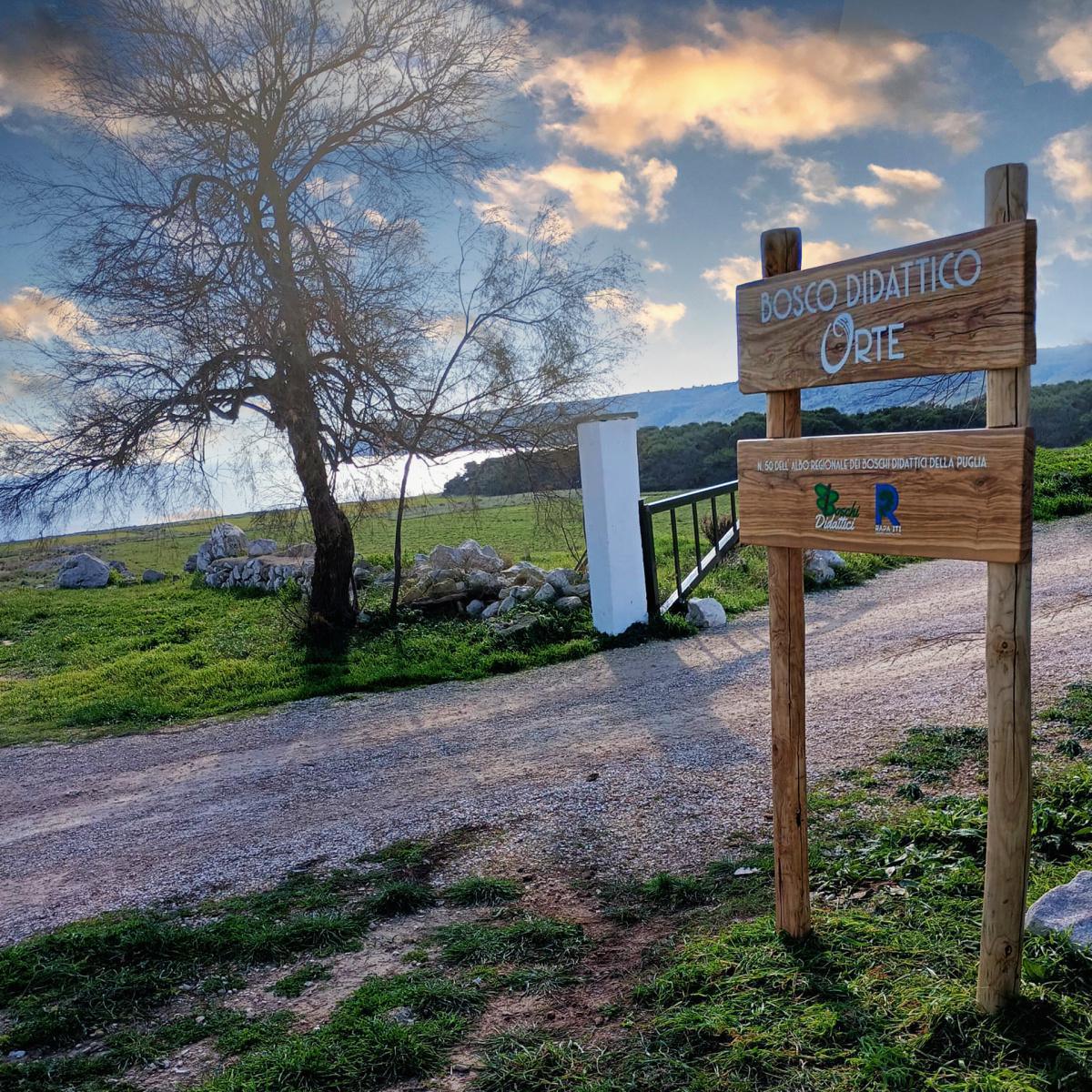 Orte - Bar & Ristorante Orte - Bar & Ristorante