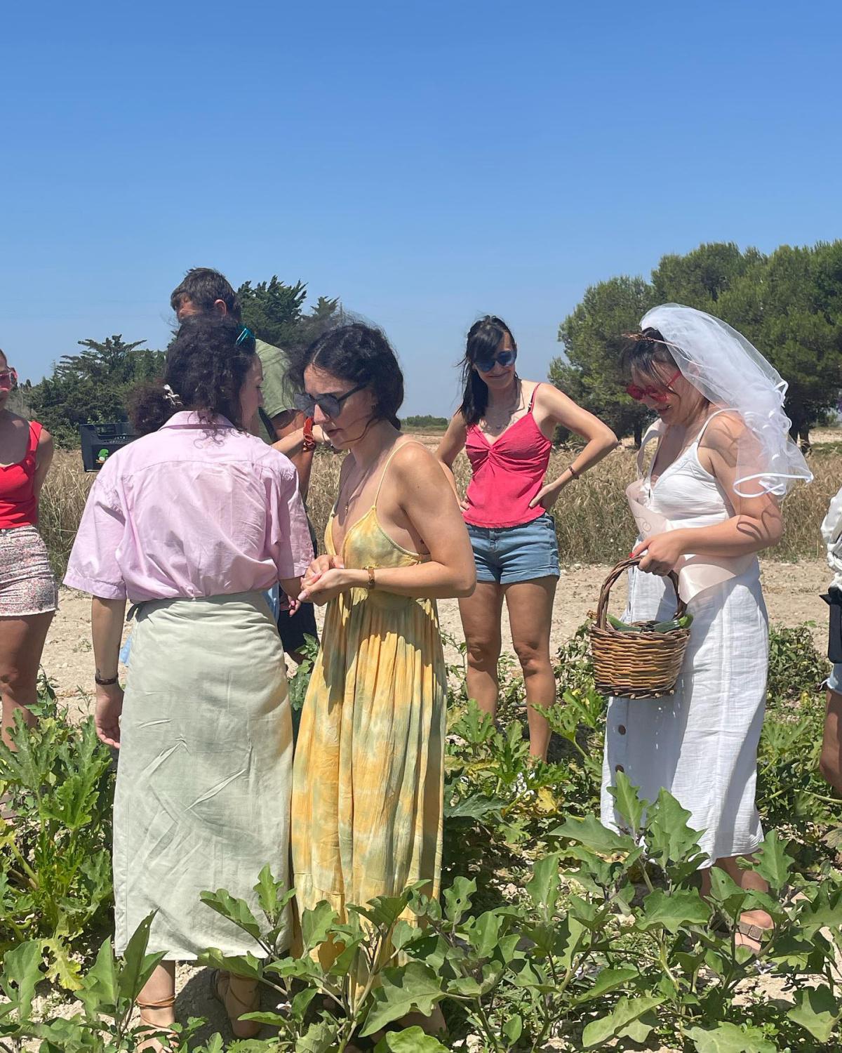 COOKING EXPERIENCE COOKING EXPERIENCE