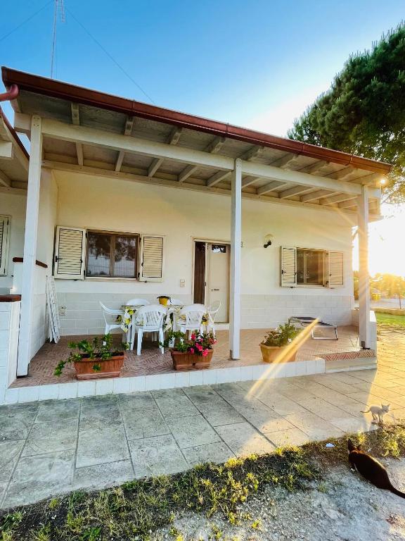 Tenuta Angelini - Apartments