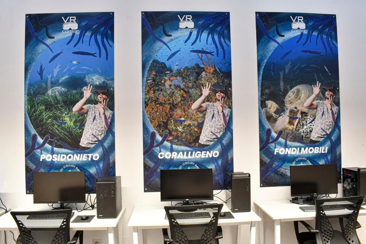 Museo Biologia Marina - Porto Cesareo Museo Biologia Marina - Porto Cesareo