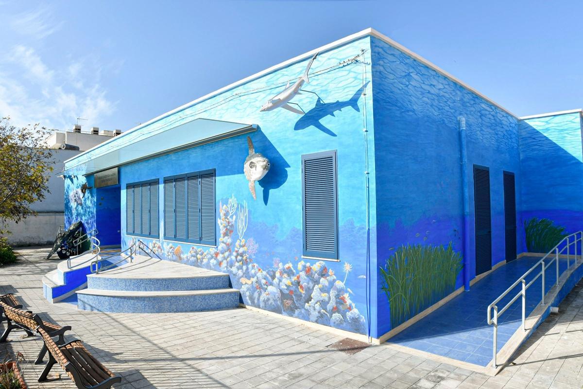 Museo Biologia Marina - Porto Cesareo Museo Biologia Marina - Porto Cesareo