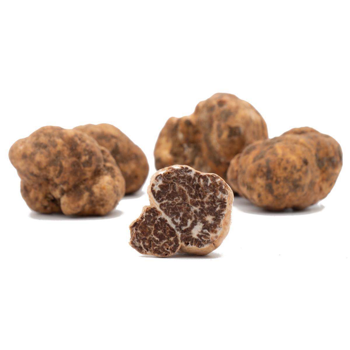 Salento, terra di Tartufi Salento, terra di Tartufi