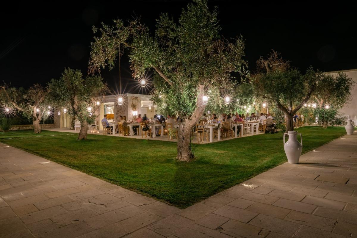 Terra degli Ulivi Terra degli Ulivi