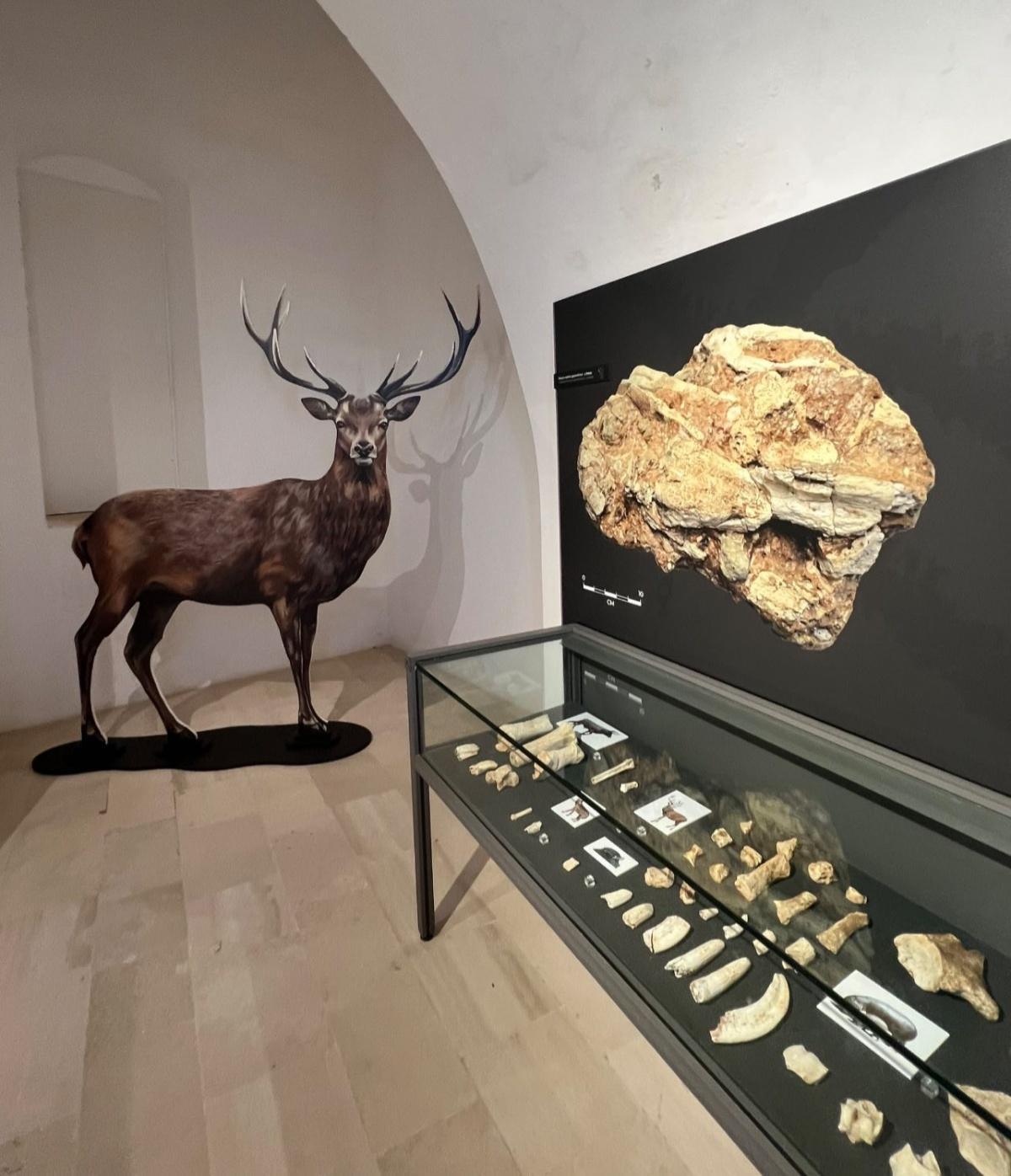 Luoghi della Preistoria