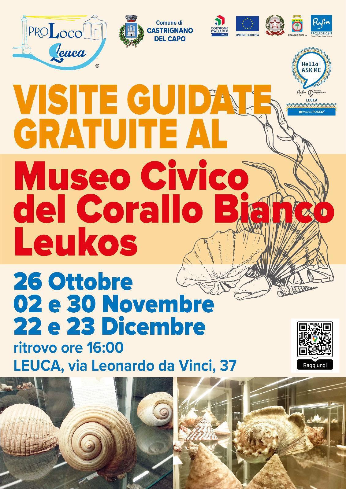 Museo Civico del Corallo Bianco Leukos - Leuca